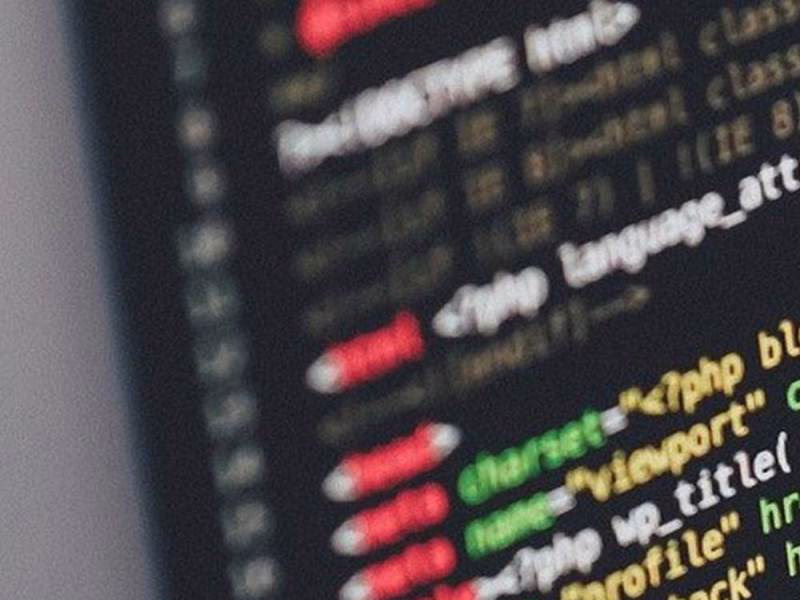 developer coding jasa web profesional
