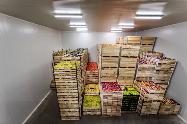 Cold Storage Frozen Food