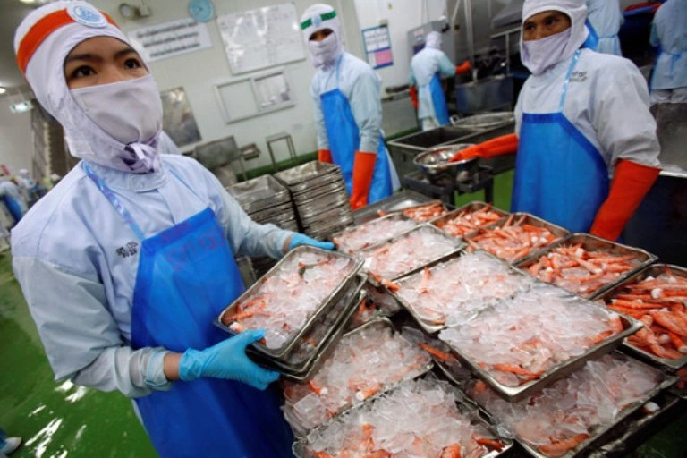 Proses cold chain distribusi frozen food Kalimantan menjaga kualitas produk